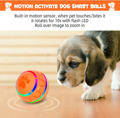 Peppy Pet Ball w/LED and USB rechargeable