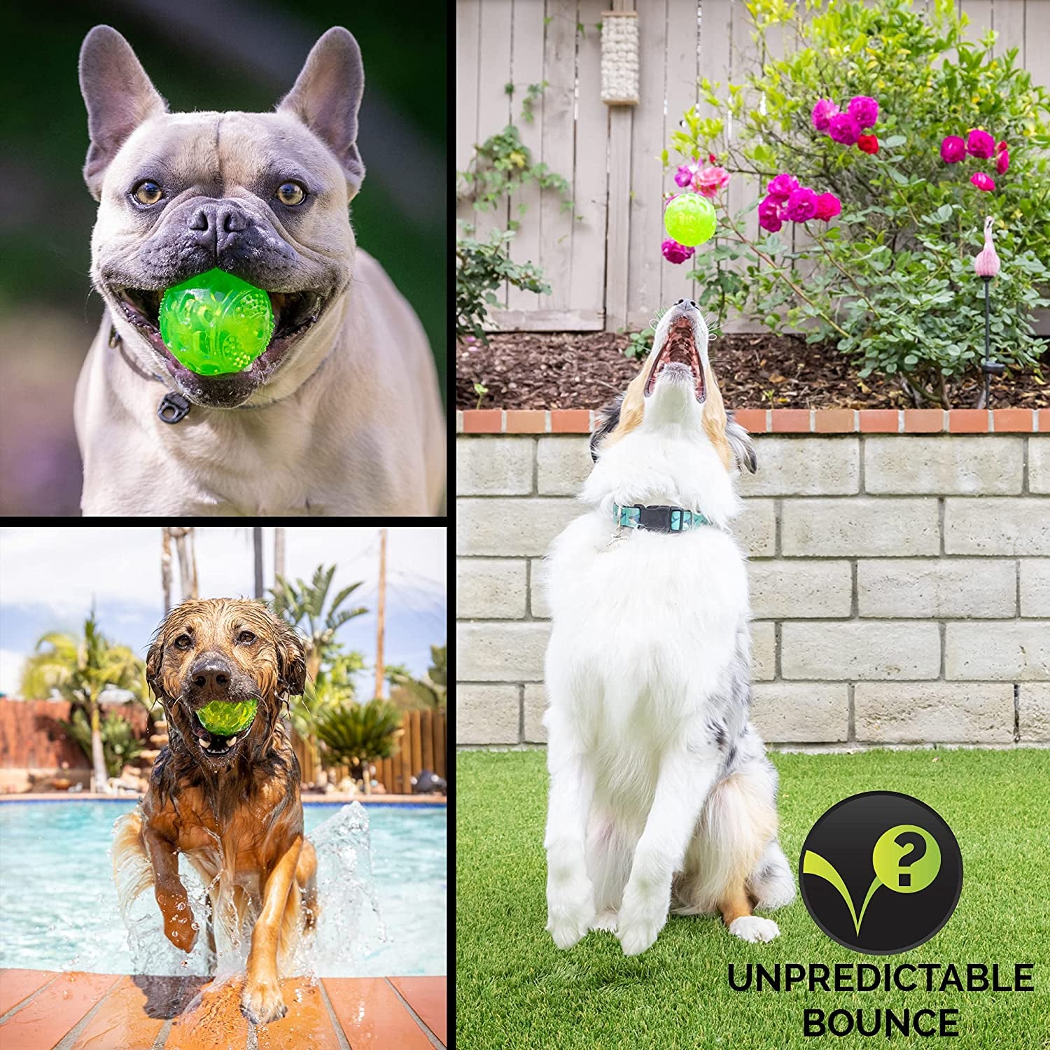 Durasqueak Dog Ball Toy, Interactive Dog Toys That Float and Squeaks for Playing, Fetching and Retrieving-Great Alternative to Traditional Tennis Balls Green 2.5 Inch