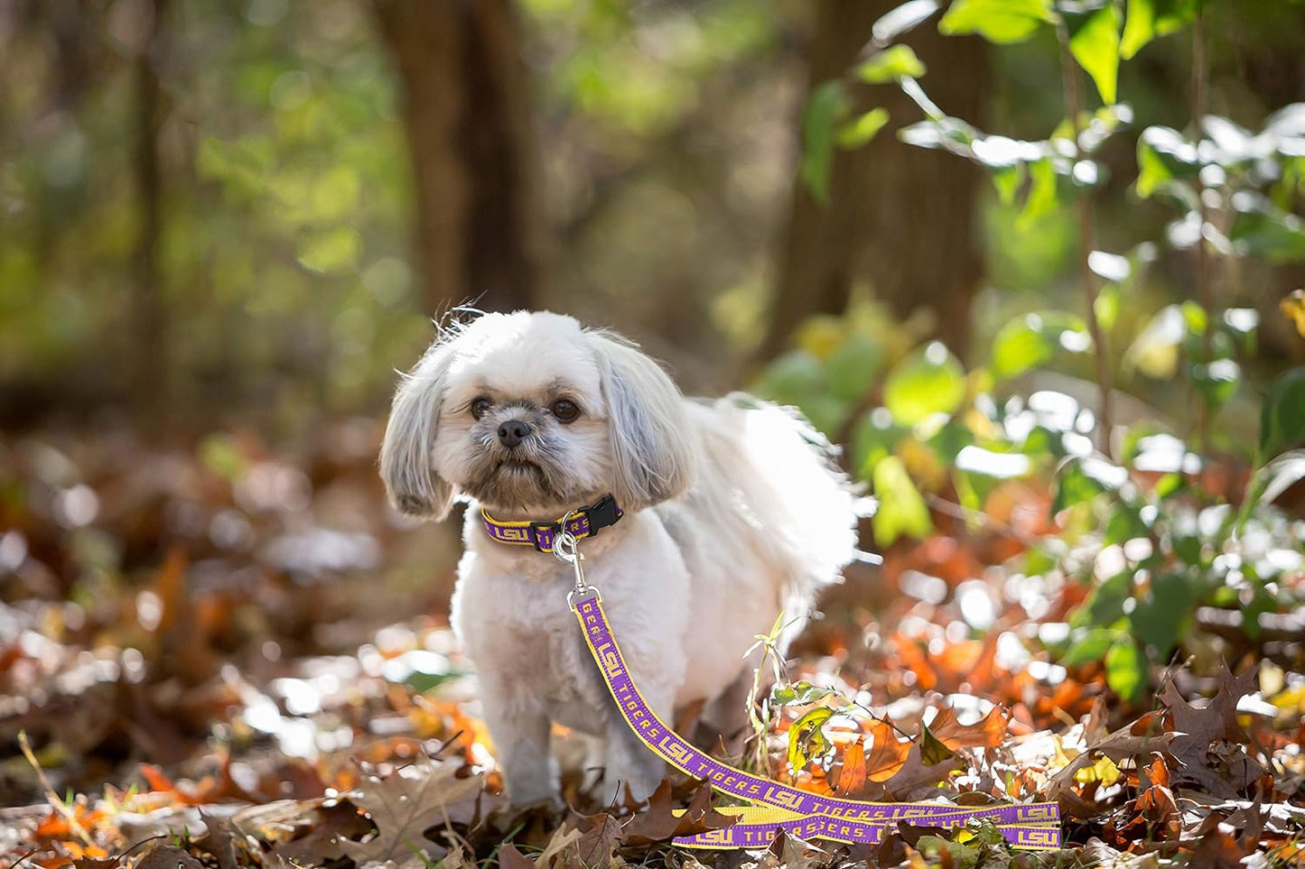 NCAA PET Leash, Large, LSU Tigers, Dog Leash, Shiny & Colorful Leash for Dogs & Cats Licensed by the NCAA, Old Version