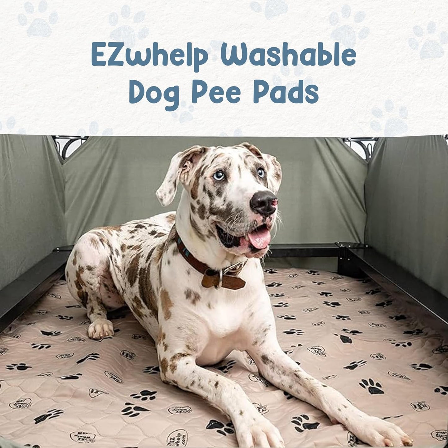 Reusable Dog Pee Pads, Washable Waterproof Mats for Potty Training or Whelping Pads, Puppy Pad with Rounded Corners, 36X48 Inch, 2 Pack