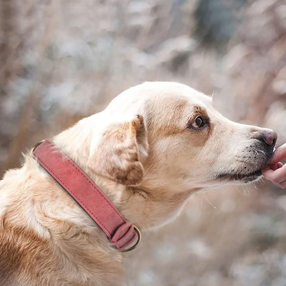 Leather Dog Collar for Small Medium Large Dogs Soft Breathable Padded Puppy Collar with Double D-Ring Adjustable Durable Strong Collar