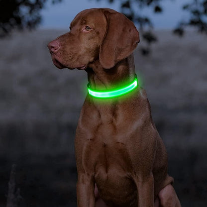 Light up Dog Collars - Rechargeable LED Dog Collar, Adjustable Dog Glow Collar, Reflective Pet Collar, Flashing Dog Lights for Night Walking (Neon Green, Large)