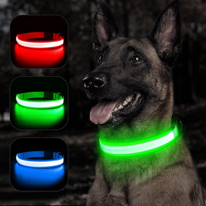 Light up Dog Collars - Rechargeable LED Dog Collar, Adjustable Dog Glow Collar, Reflective Pet Collar, Flashing Dog Lights for Night Walking (Neon Green, Large)