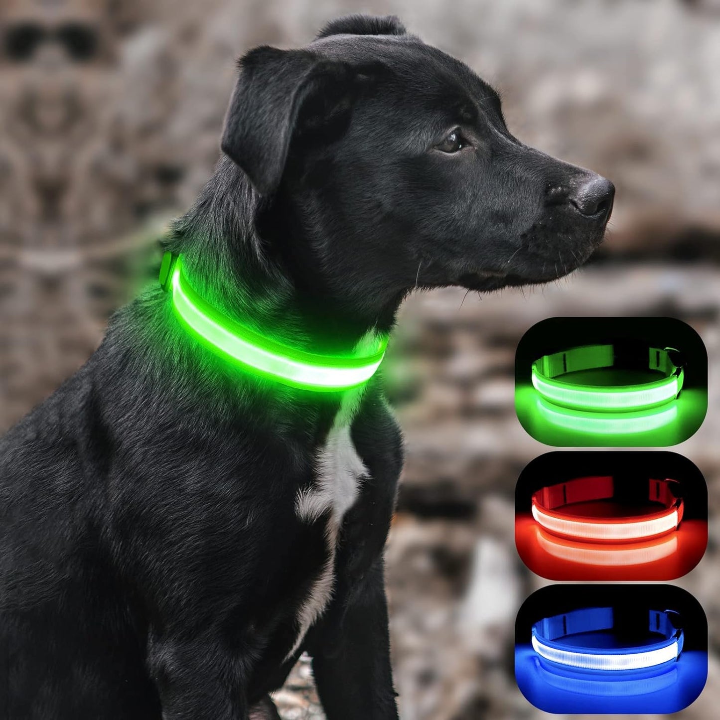 Light up Dog Collars - Rechargeable LED Dog Collar, Adjustable Dog Glow Collar, Reflective Pet Collar, Flashing Dog Lights for Night Walking (Neon Green, Large)