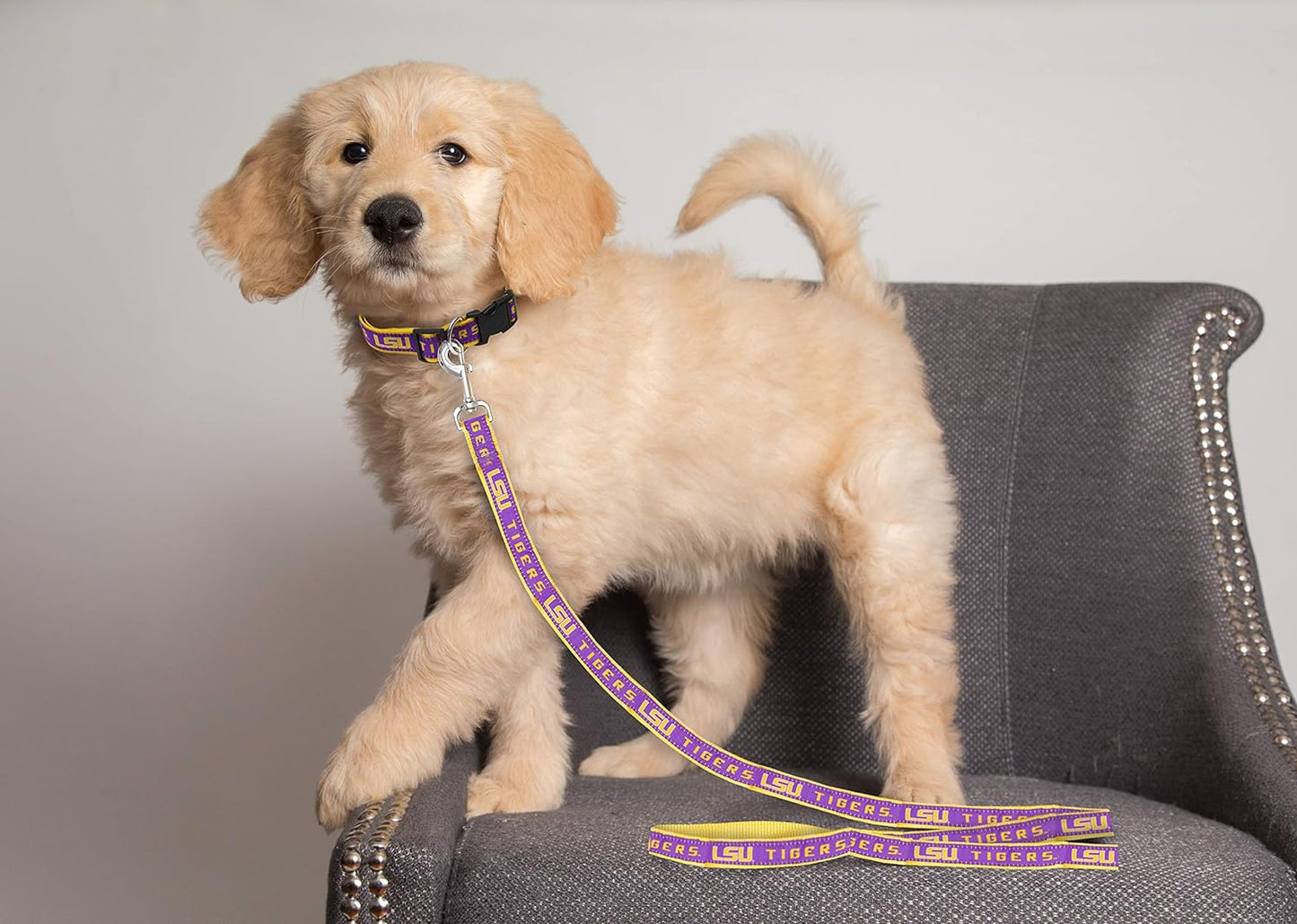 NCAA PET Leash, Large, LSU Tigers, Dog Leash, Shiny & Colorful Leash for Dogs & Cats Licensed by the NCAA, Old Version